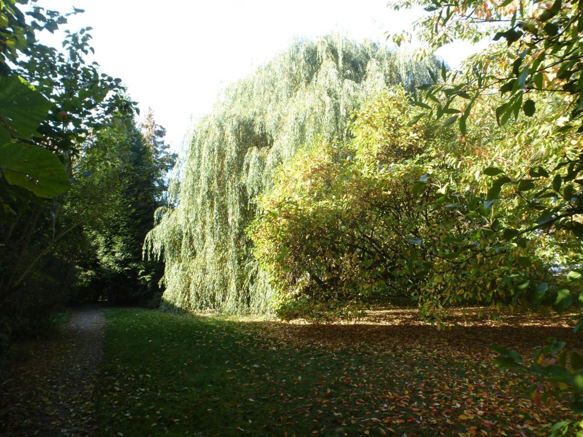 Fewo Im Naturschutzgebiet Hiddenhausen Ngoại thất bức ảnh
