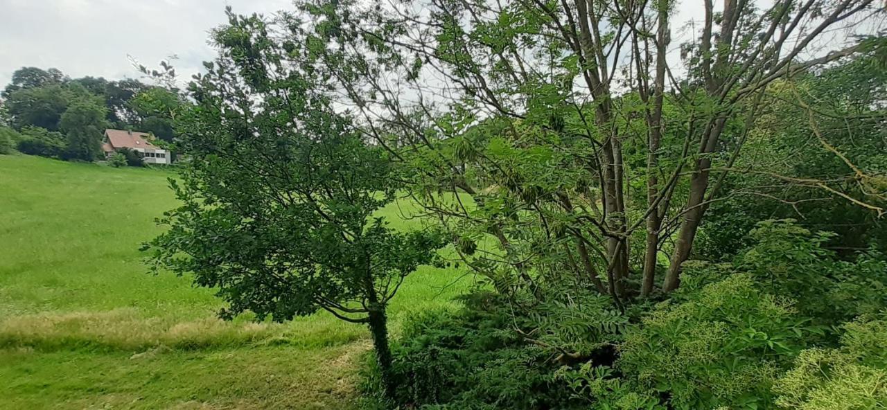 Fewo Im Naturschutzgebiet Hiddenhausen Ngoại thất bức ảnh